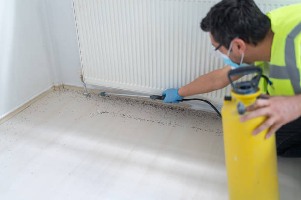 Professional Pest Control in Saline, MI
