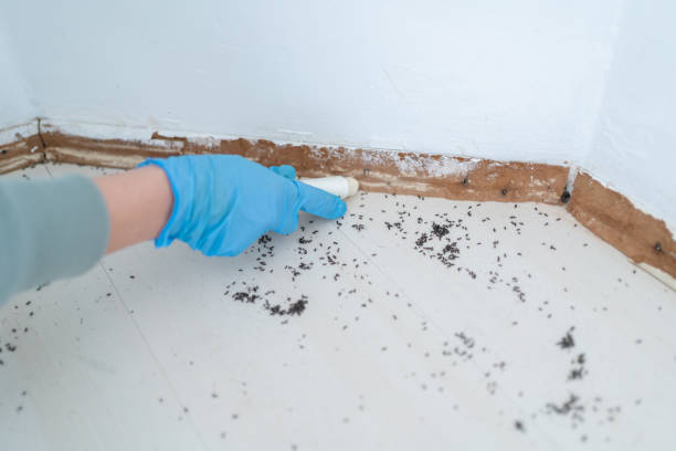 Best Pest Removal Services  in Saline, MI